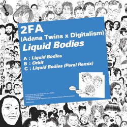 Liquid Bodies