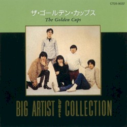 Big Artist Best Collection