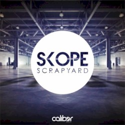 Scrapyard / When I Look At You