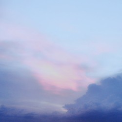 Мир спасёт красота