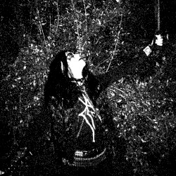 Night of Eternal Darkness