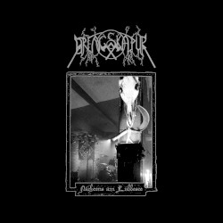 Nächtens am Lübbesee