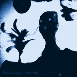 Entropy Waves