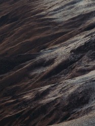 The New Book of the Dead: What Happens After Successful Martyrdom?