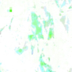 ʳ͎ᵉ͎♵⃣ᶜʸᶜˡᵉʳ