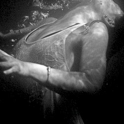 Black Bag Archive, Vol. 2