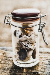 The Idyllic Innocence of Childhood That Lonesome Memories Coat With Mahogany Soot
