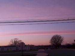 Pineapple Juniors (opal東京 Remix)