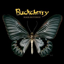 Black Butterfly