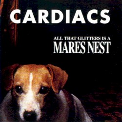 All That Glitters Is a Mares Nest