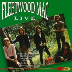 Fleetwood Mac Live