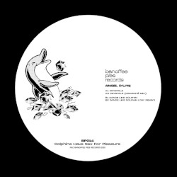 Dolphins Have Sex for Pleasure