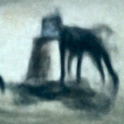 Nonverbal/Communication(Demo)