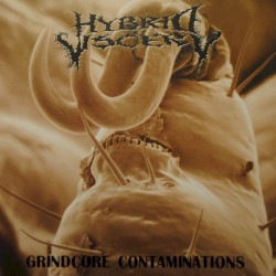 Grindcore Contaminations