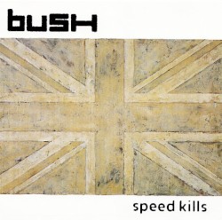 Speed Kills