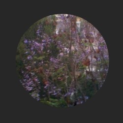 New Amerikan Folk EP