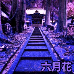 紫の 寺院