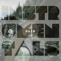 Reflections (Instrumentals)