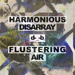 Harmonious Disarray / Flustering Air