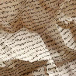 Newspaper