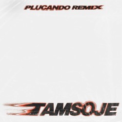 Tamsoje (plucando remix)