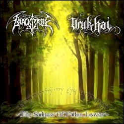 The Sadness Of Fallen Leaves