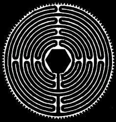 Life-Death Continuum