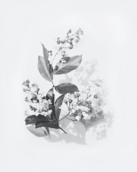 Rest in Peace (A Soundtrack for Irreversible Relaxation)
