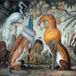 Magická Džungl’a