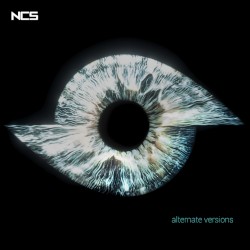 Recall (Alternate Versions)