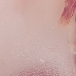 033: When Was the Last Time You Asked Him What It Feels Like, All Cooped Up in that Little Cage