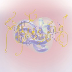 Lionsong (Juliana Huxtable remix)