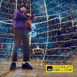 FVLCRVM @ FM4 - La Boum De Luxe 2020