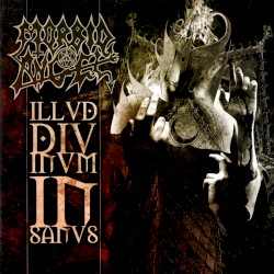 Illud Divinum Insanus