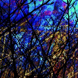 雀色1 Sparrow Color 1