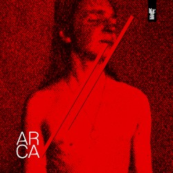 Arca
