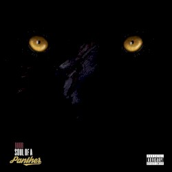 Soul of a Panther