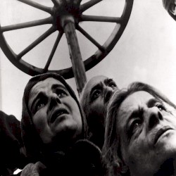 Incantation to summon a mammalian evolution as beautiful as that from dinosaur to bird