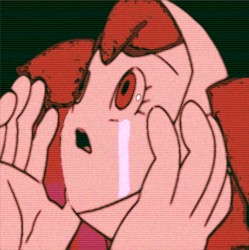 walls / cobble stone