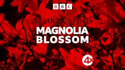 Magnolia Blossom