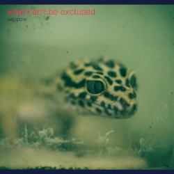 what can't be excluded