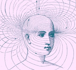 Default Mode Network