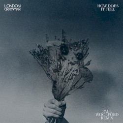 How Does It Feel (Paul Woolford remix)