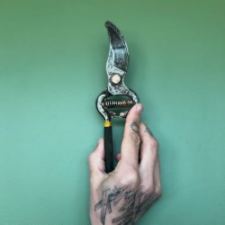 Schrodinger’s Summer