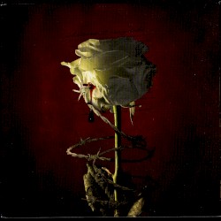 Whatever It May Take