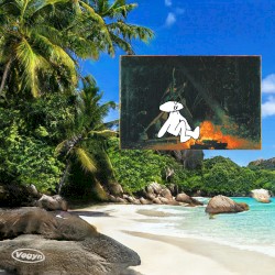 Don’t Follow Me Because I’m Lost Too!!