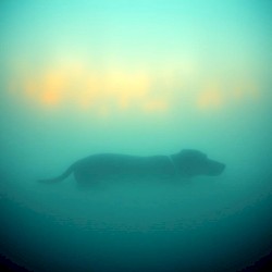 How I Long for the Sabbath