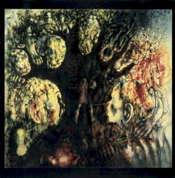 The 13 Frightened Souls