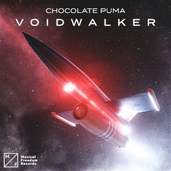 Voidwalker (extended mix)