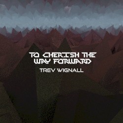 To Cherish The Way Forward |Metroid - Title Theme|